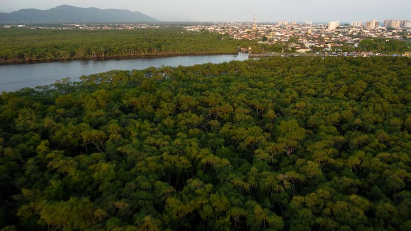 Drone video of a river in an Atlantic forest vegetation Free Stock ...
