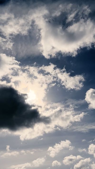 Dmitry Marchenkov's nature timelapse video