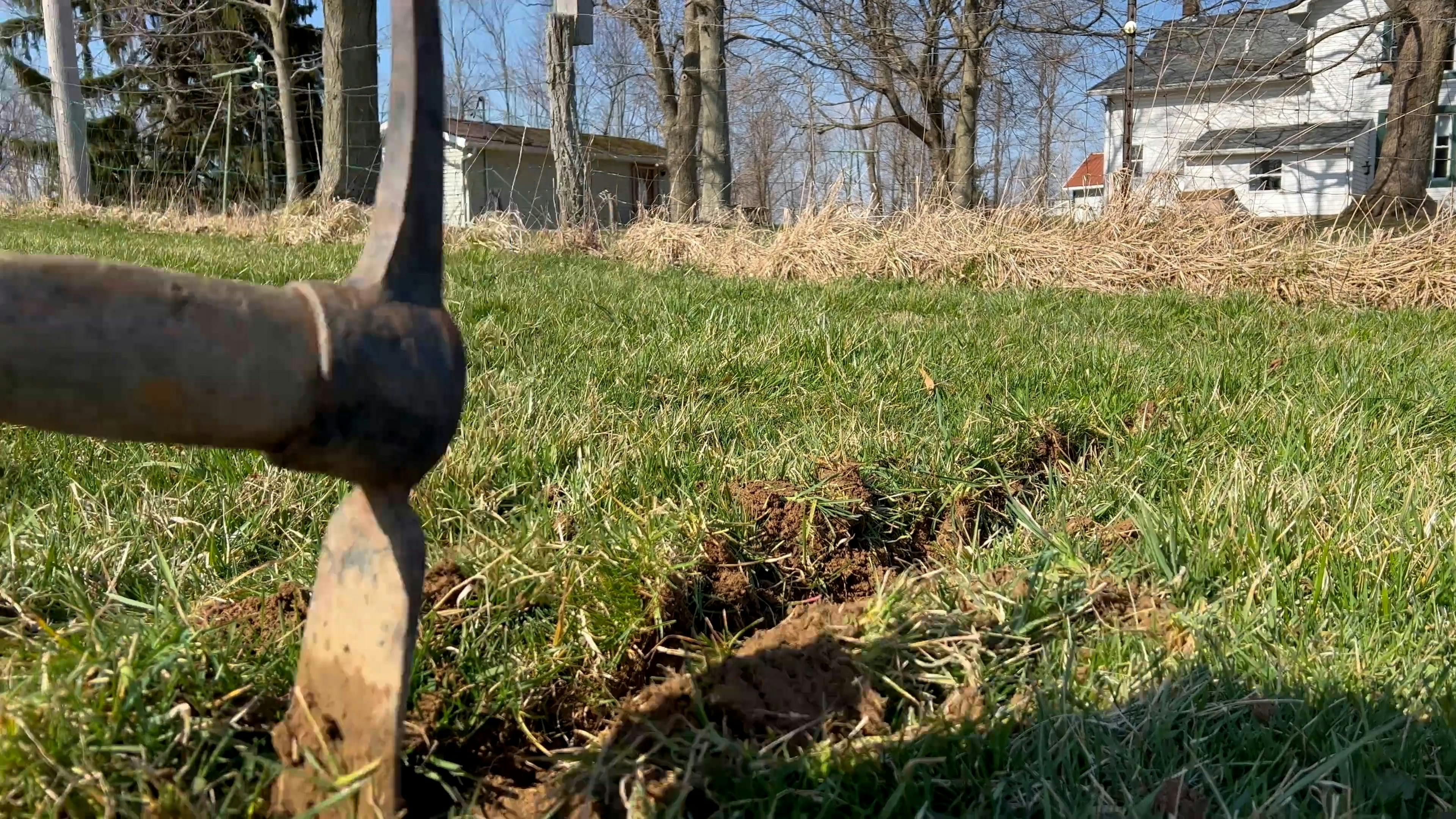Man Digging a Hole for Planting a Tree Free Stock Video Footage