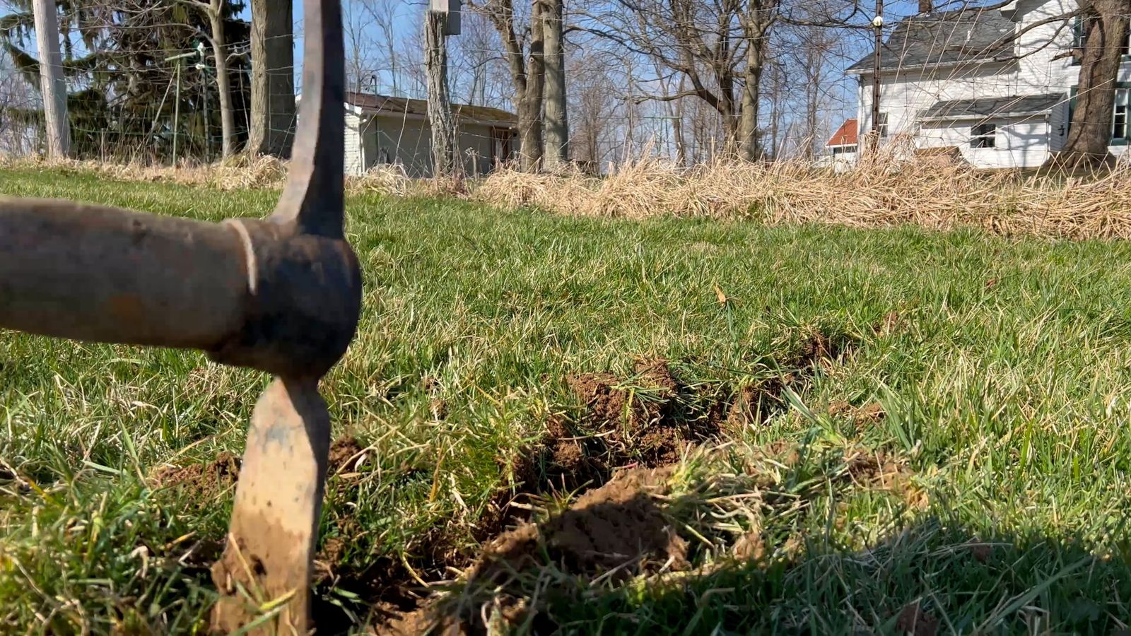 Man Digging a Hole for Planting a Tree Free Stock Video Footage ...