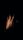dark background