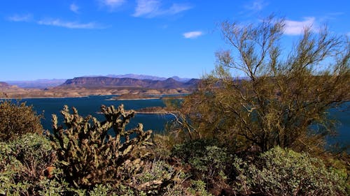 View of Lake Pleasant in Arizona 