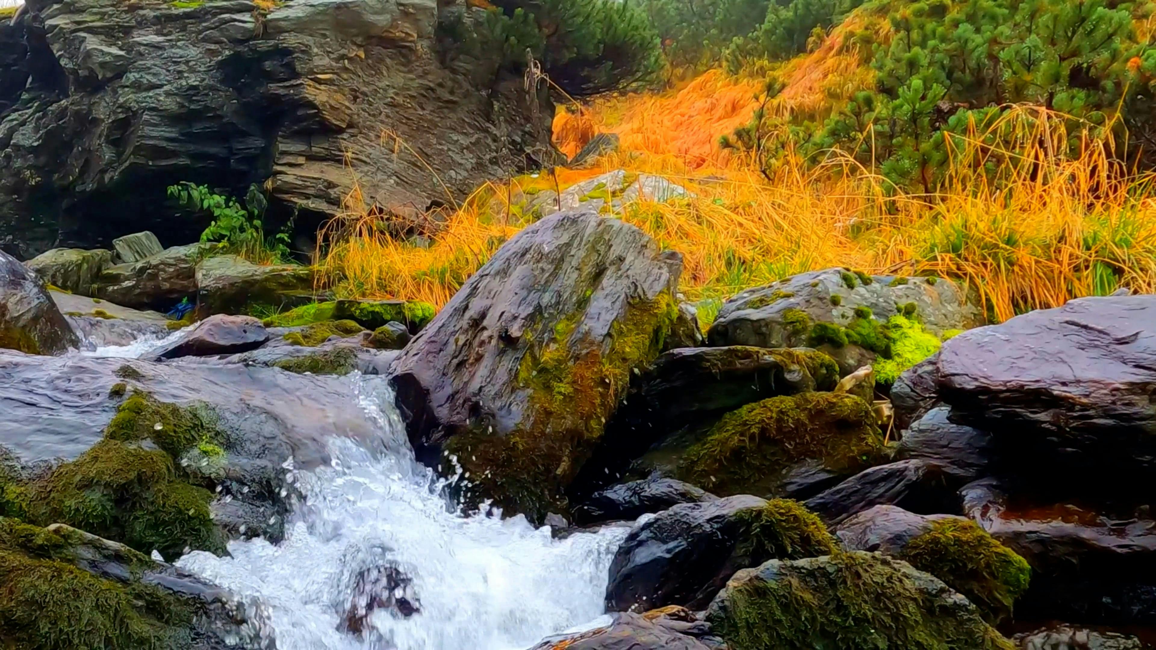 Video by I Am Sorin