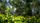 nature background
