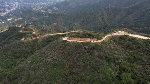 Police Vehicles on Mountain Road