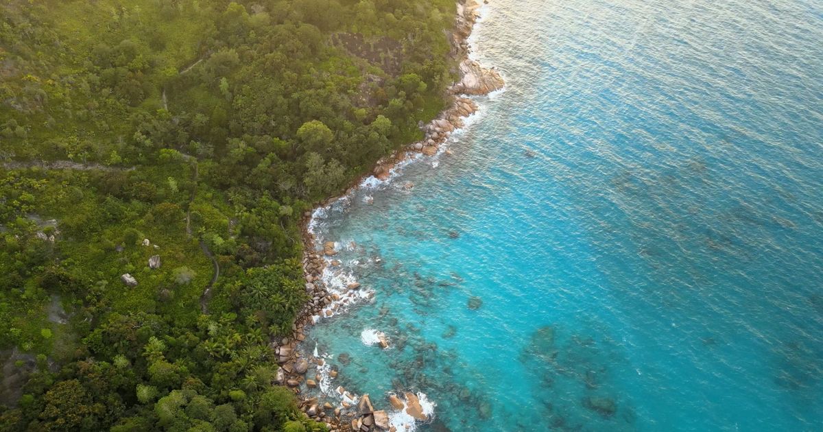 sunset above seychelles island 11716547 — free pexels stock footage