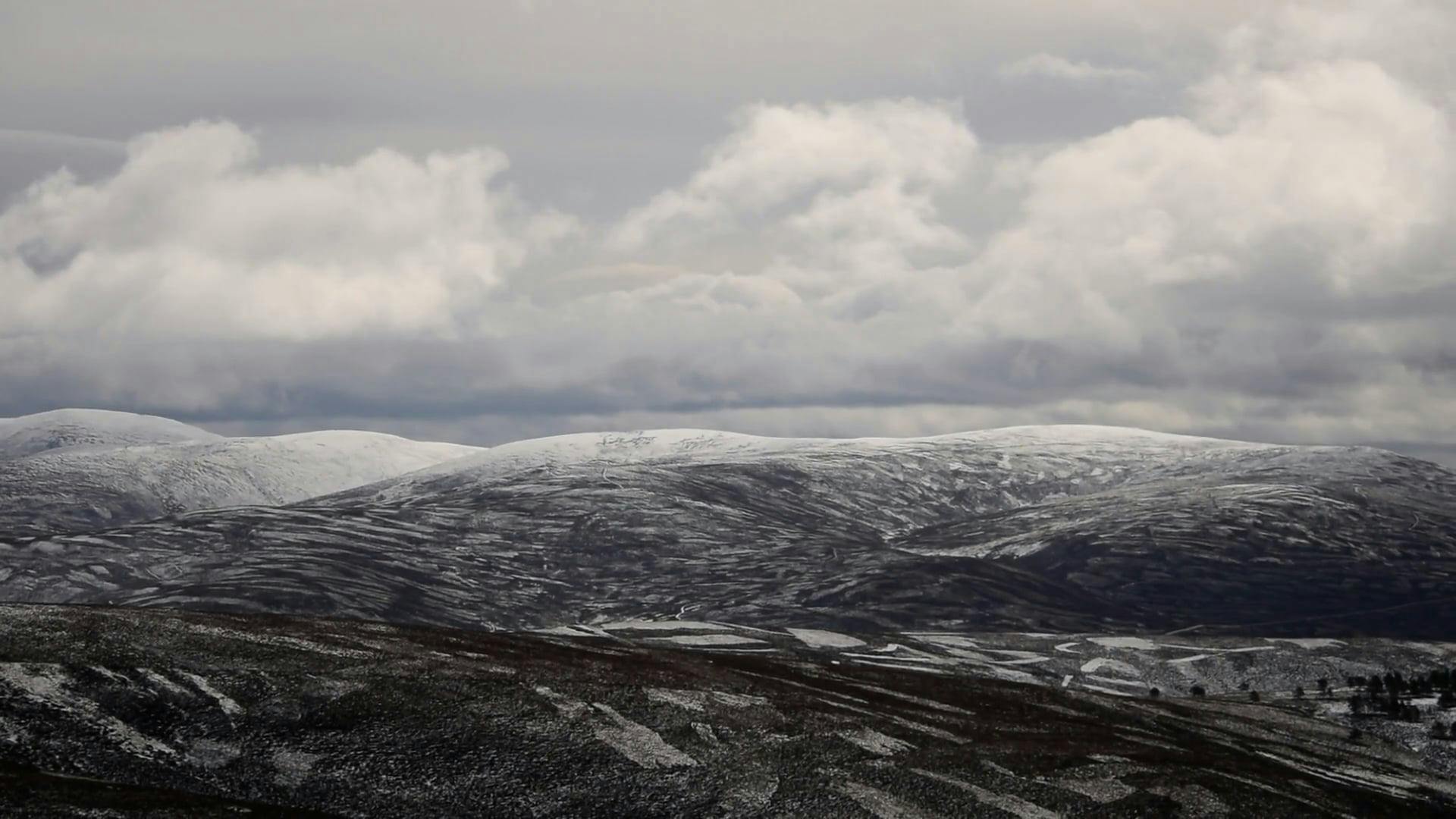 Video by colabber8 @colabber8