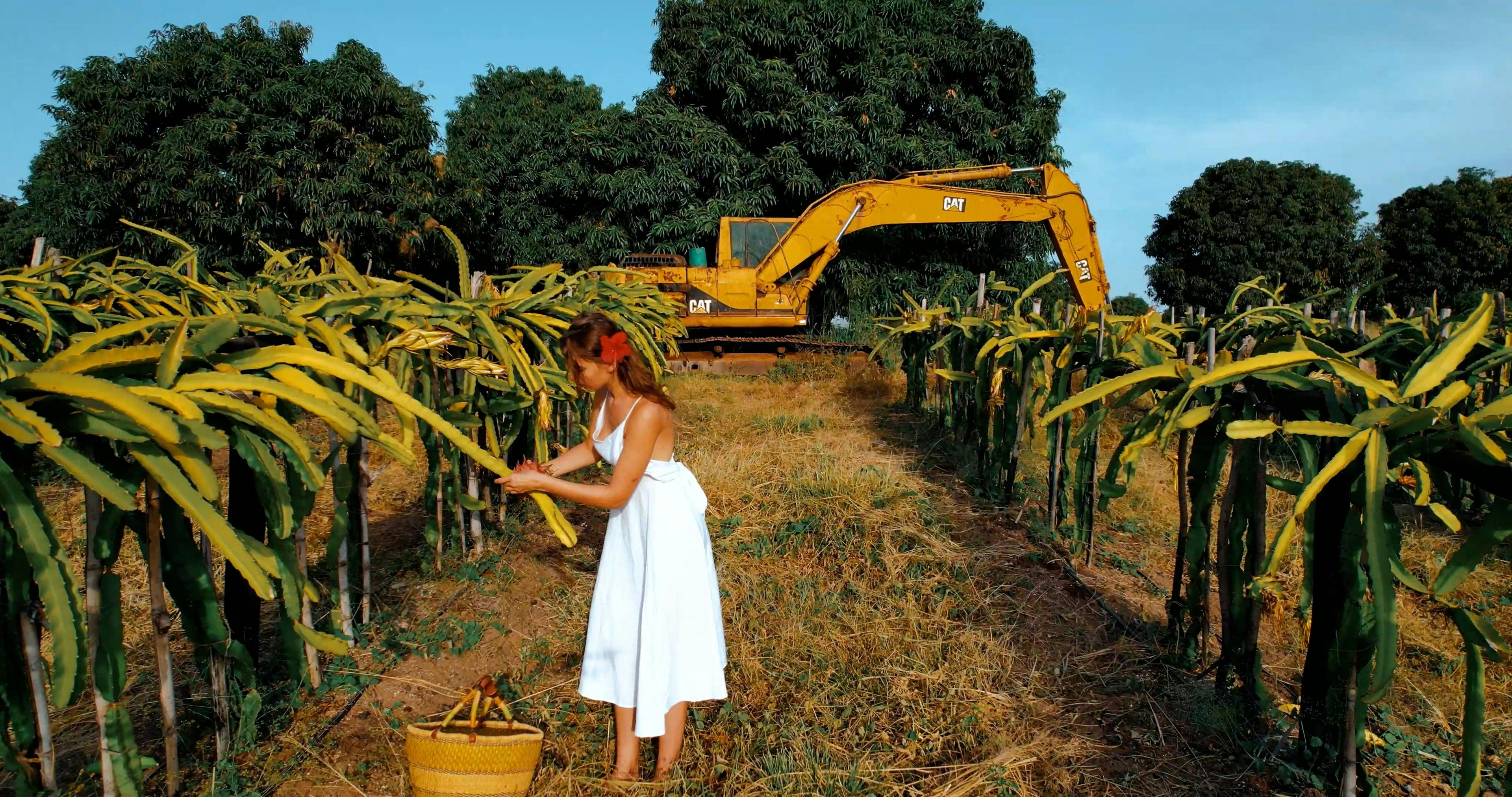 Free stock video of adult, agriculture, bucket