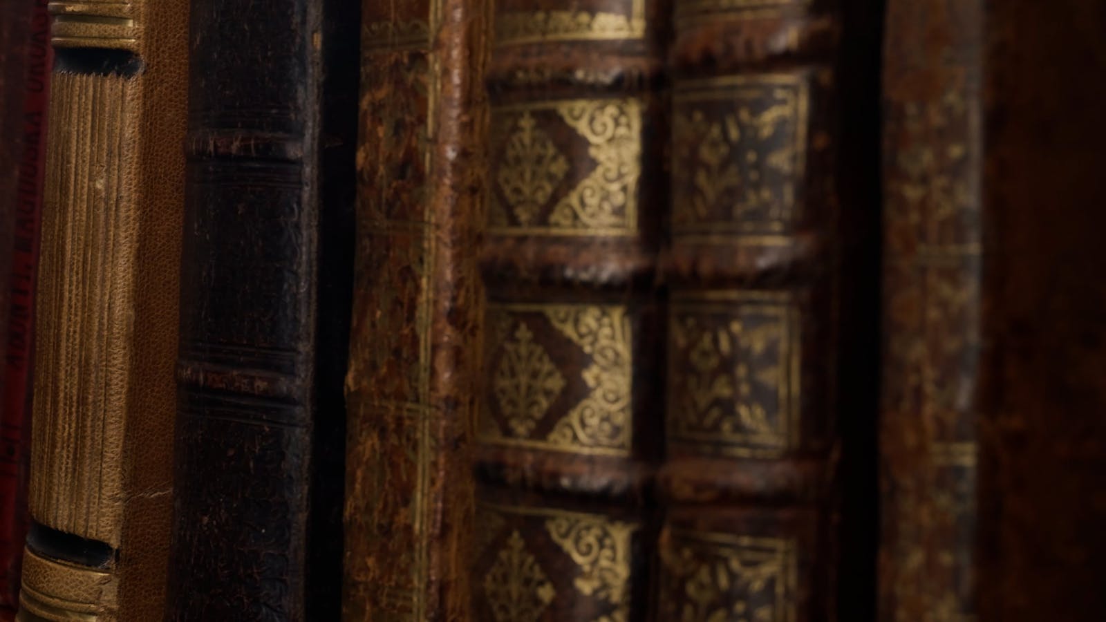 Antique Book Shelves Wallpaper Videos, Download The BEST Free 4k Stock