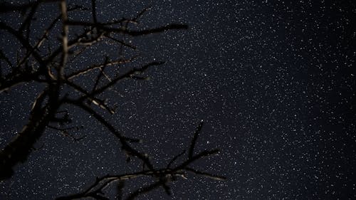 Time Lapse of Shooting Stars on a Clear Night Sky