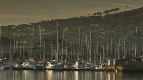 Time Lapse of Boats in Harbor