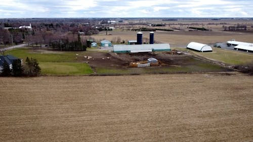 Farm and Fields