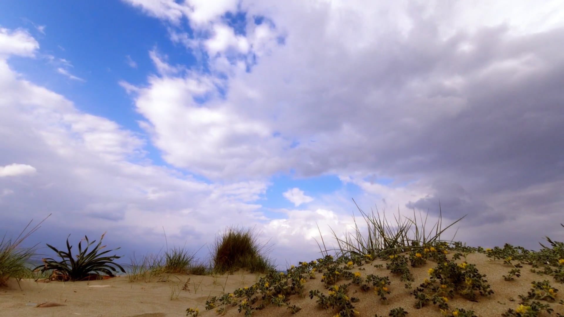 Time Lapse of Moving Clouds over the Beach Free Stock Video Footage ...