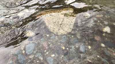 Piedras bajo agua clara