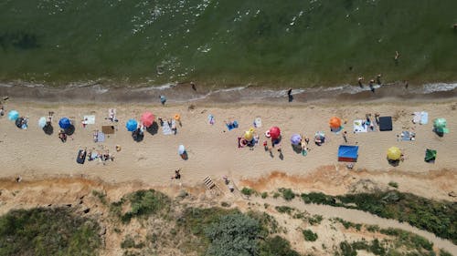 Drone Video of People on the Beach