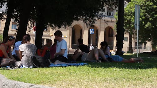 People Under A Tree