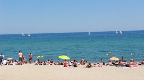 People At The Beach On A Sunny Day