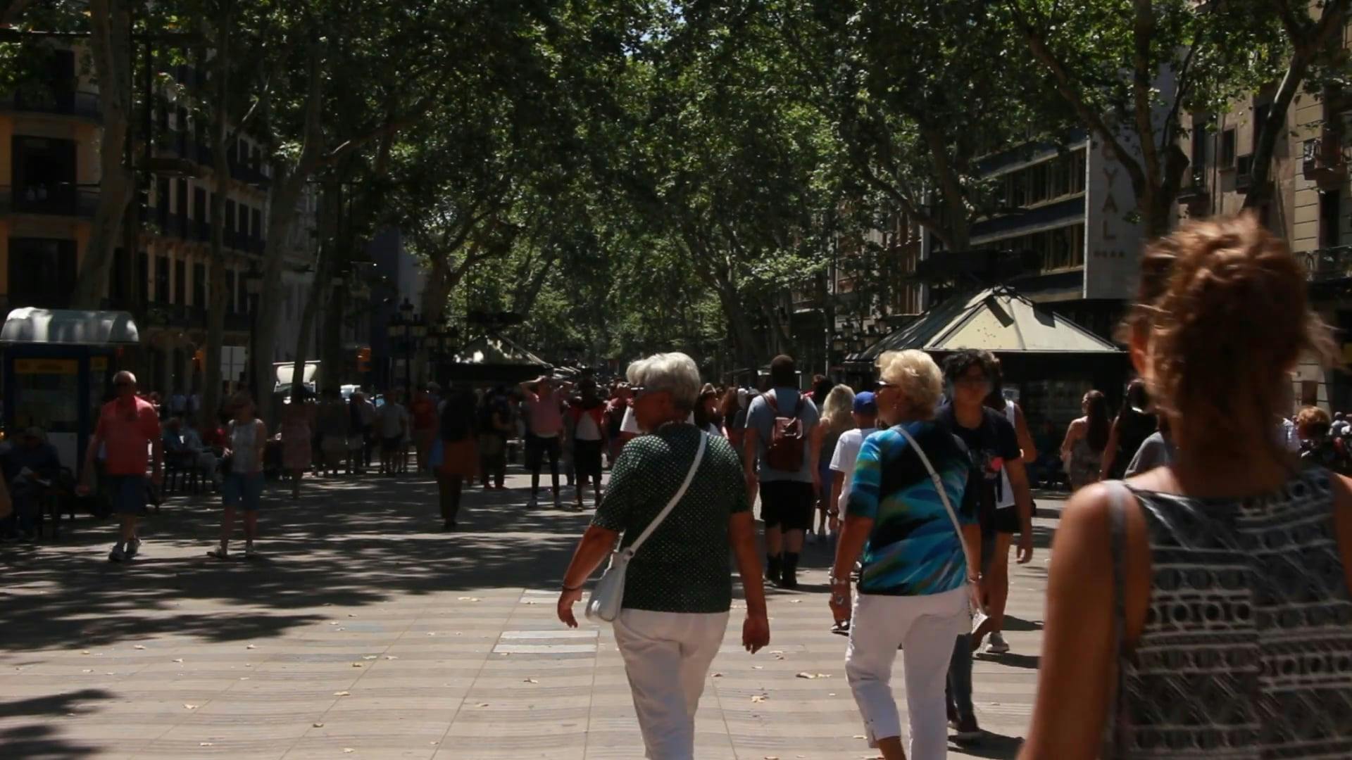 Video by clara blasco