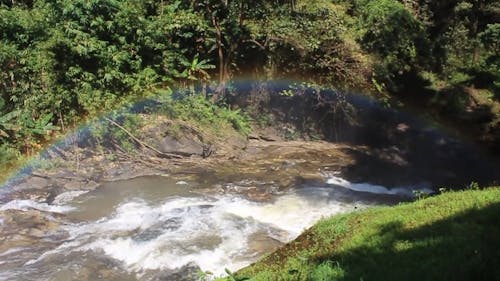 Video Of Waterfalls During Daytime