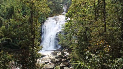 A Beautiful Waterfalls