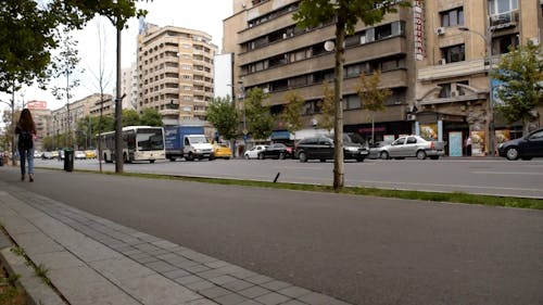 Video Of Cars On Road