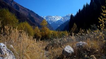 天山视频素材免费下载免费下载视频素材