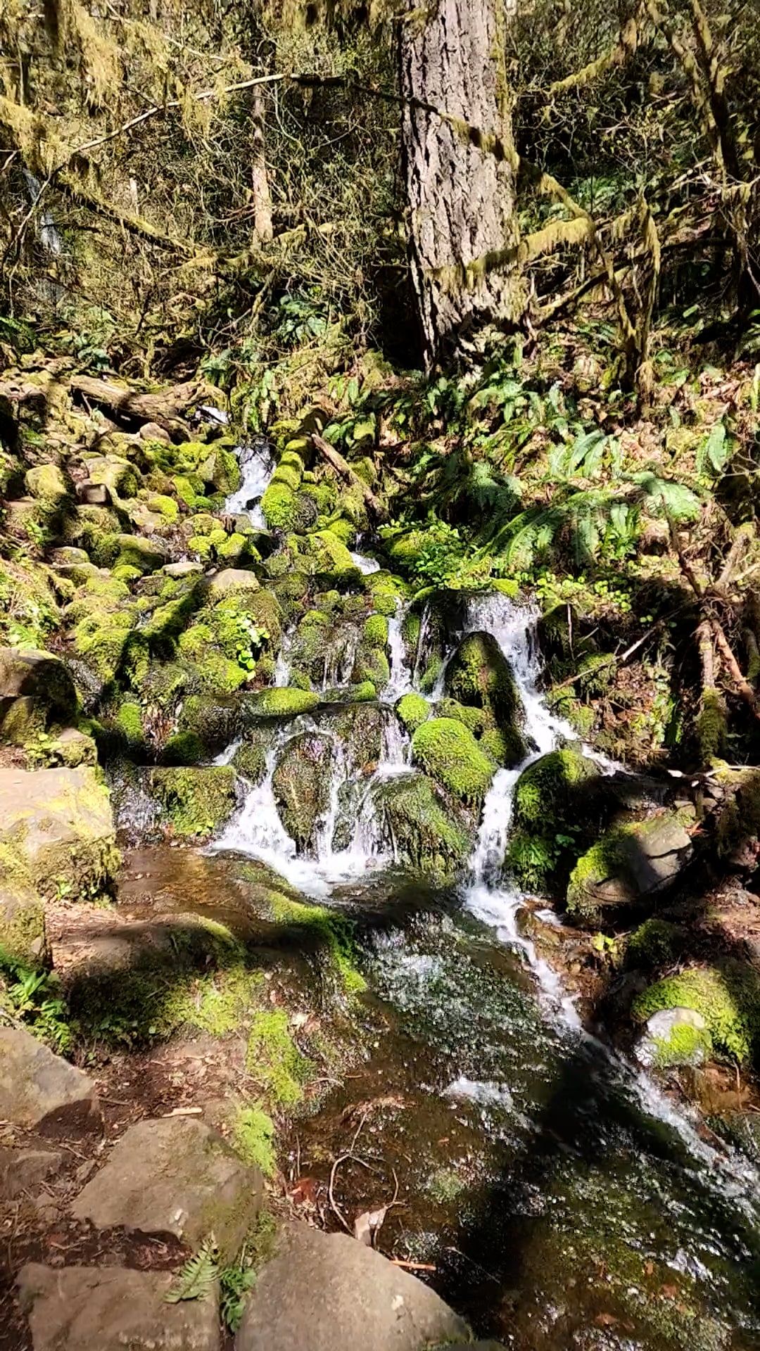 waterfall on stream 11931786