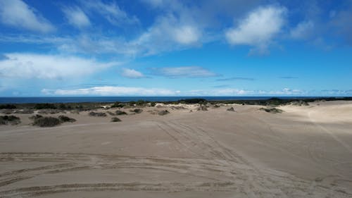 Sand Dunes in Winchester Bay