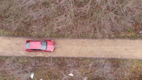 Red Car on Road Among Trees