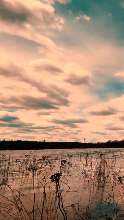 Dmitry Marchenkov's nature timelapse video