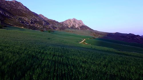 Rural Fields in Mountains