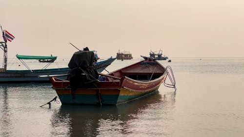 Fishing Boats Anchored near the Shore 