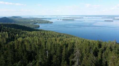 Drone Video of Koli National Park in Finland