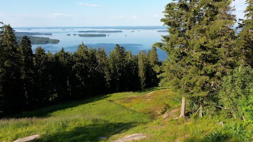 Drone Video of of Koli National Park