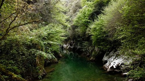 Water Flowing in the River Free Stock Video Footage, Royalty-Free 4K ...