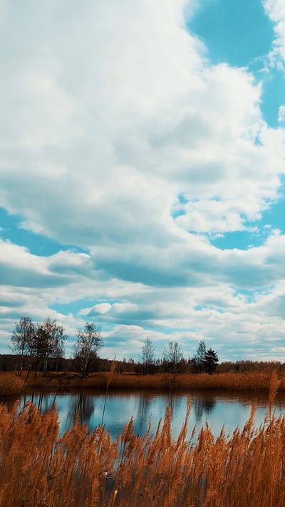 Dmitry Marchenkov's fantasy landscape cinematic video
