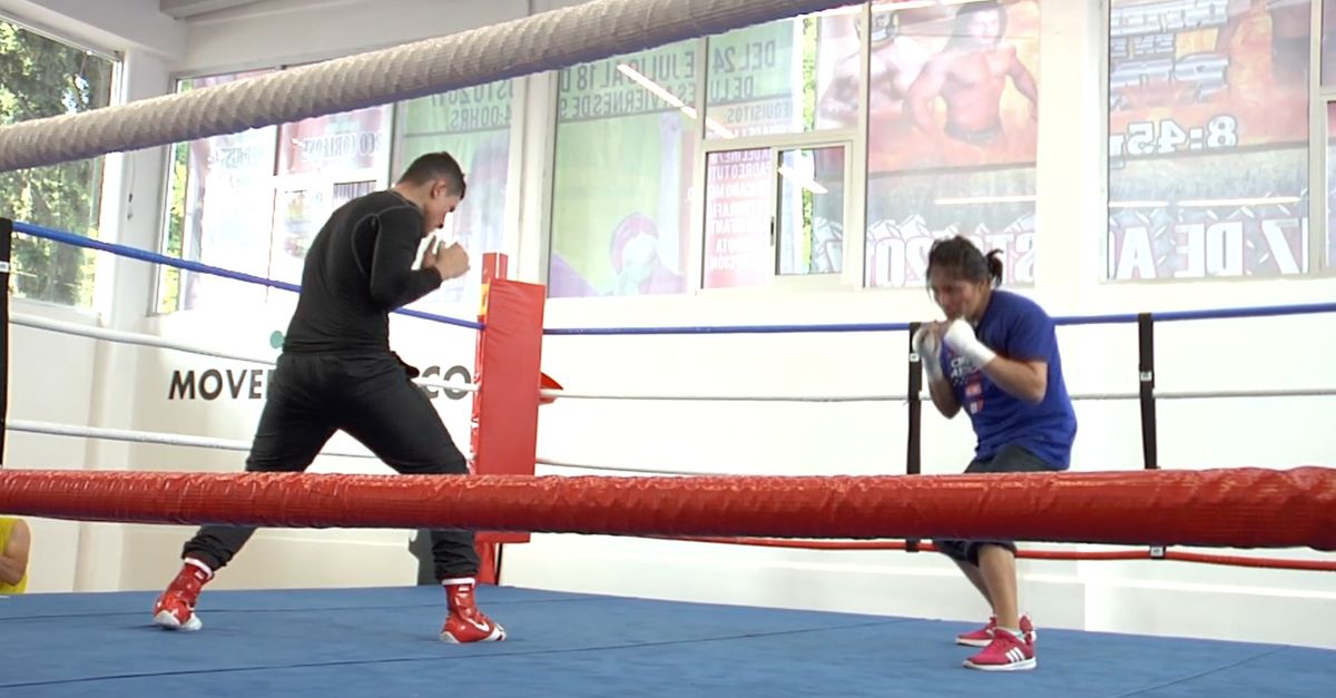 Boxing Training In Boxing Ring Free Stock Video Footage Royalty Free boxing-training-in-boxing-ring-free-stock-video-footage-royalty-free