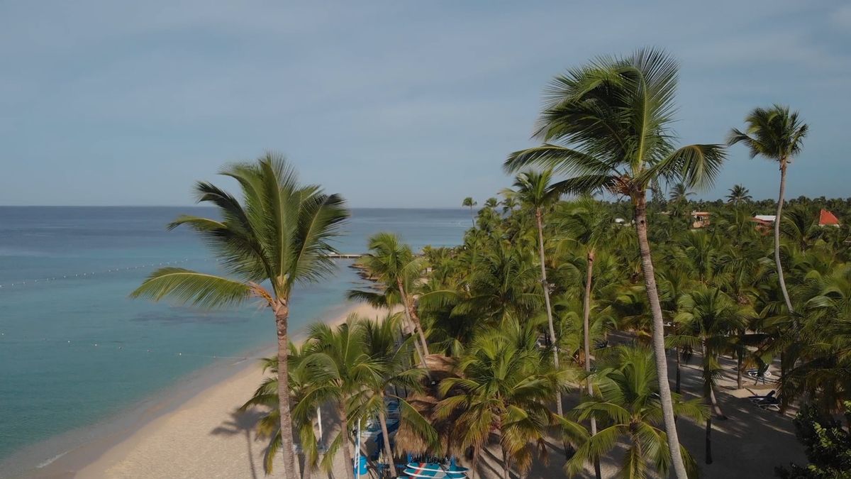 29 Best Free Caribbean 4k Stock Video Footage Royalty Free Hd Video