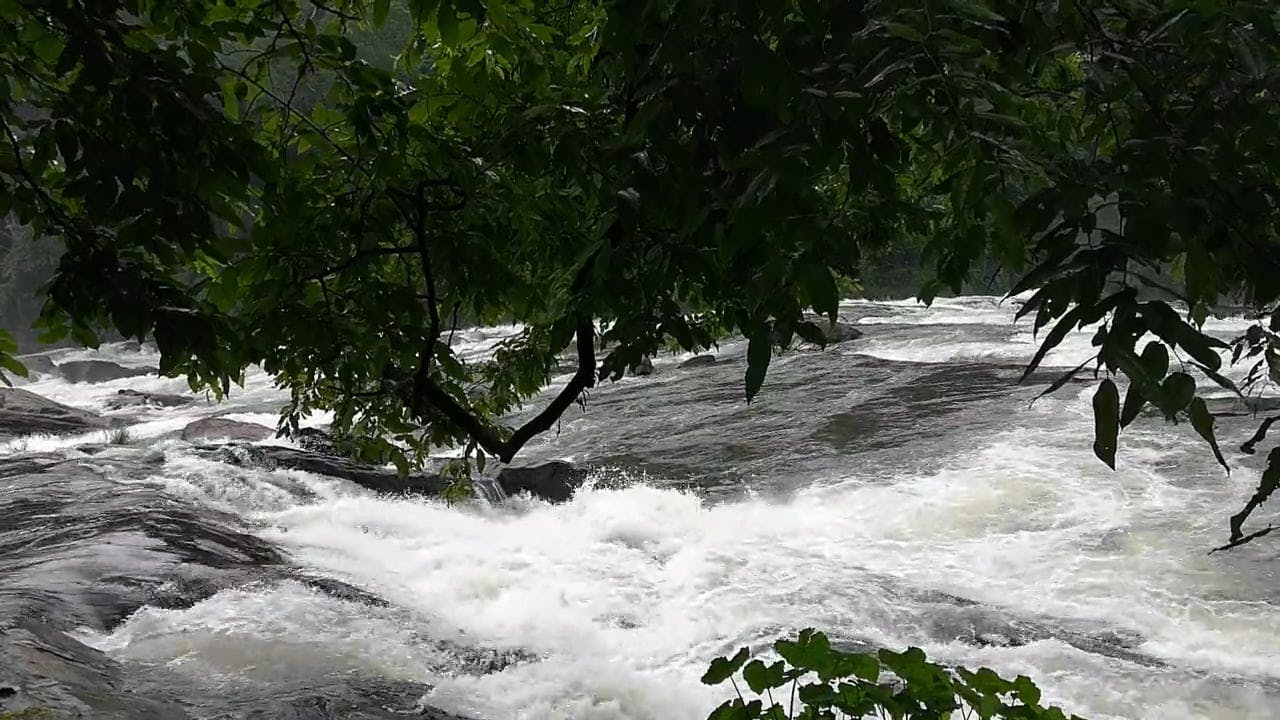 Flood Videos, Download The BEST Free 4k Stock Video Footage & Flood HD