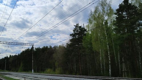 Cargo Train on Railway Tracks