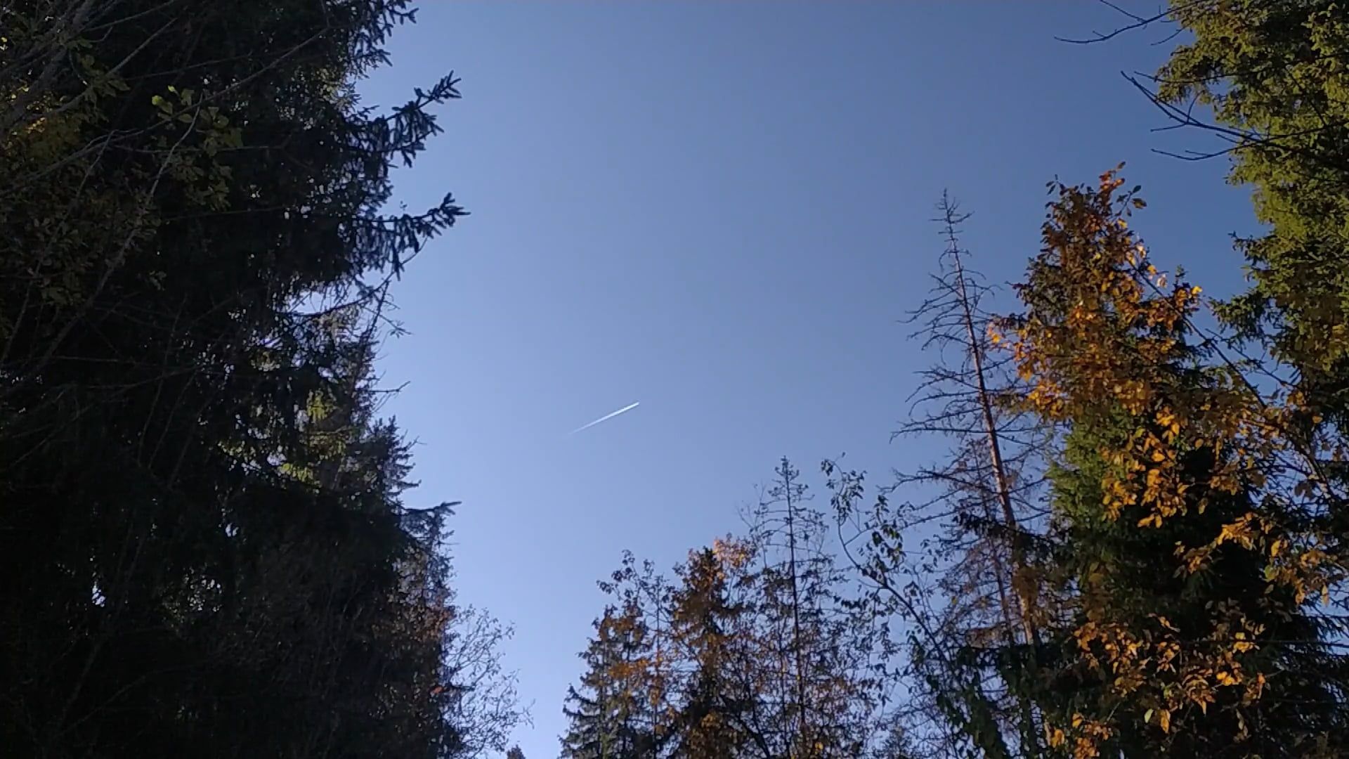 Video by Vladyslav Kalashnyk