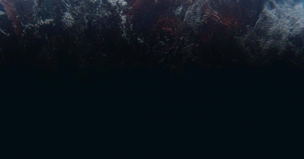 Pexels Video 12080775