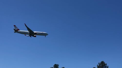 Airplane Landing over Trees