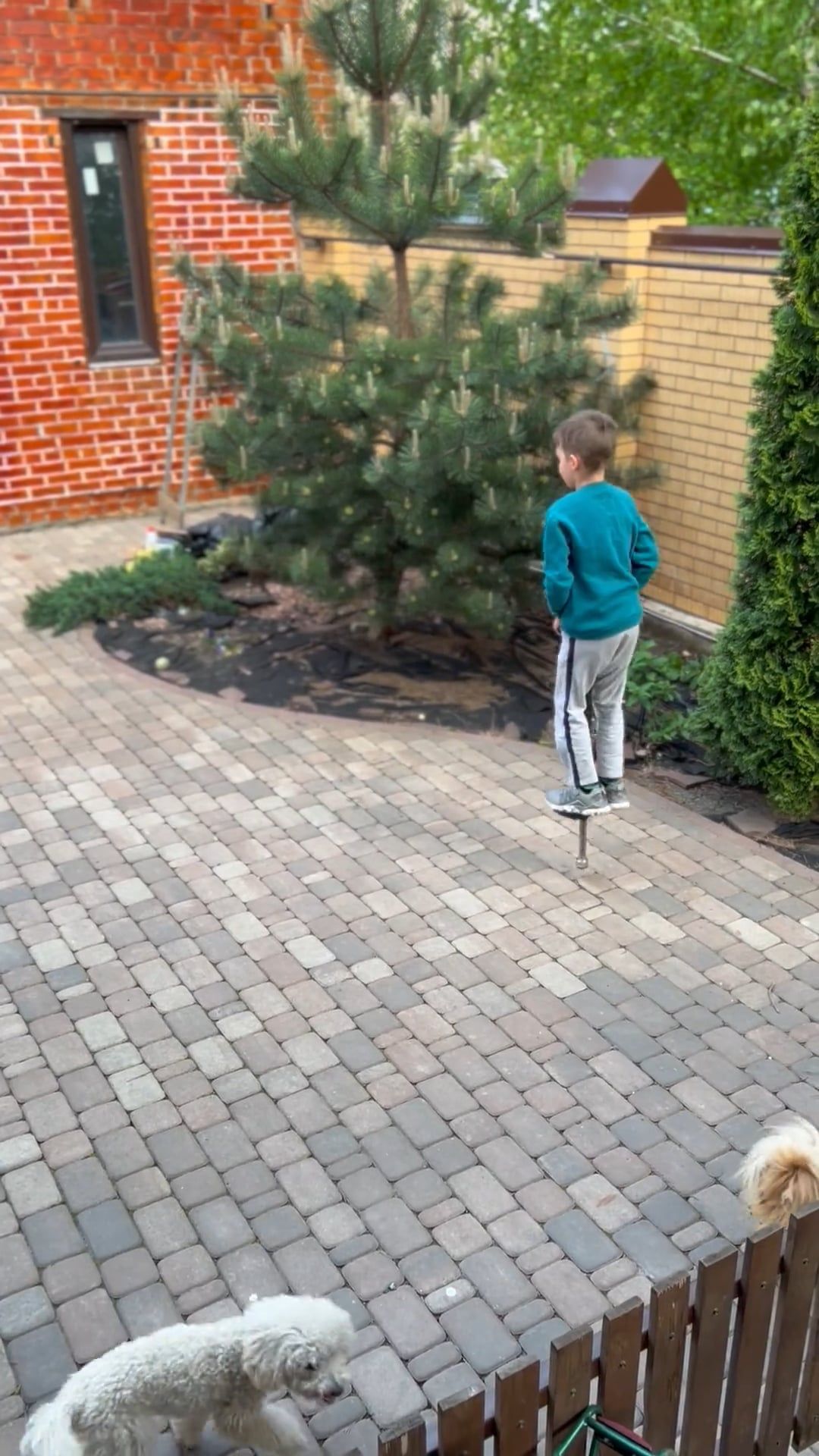 Video by Anna Bondarenko