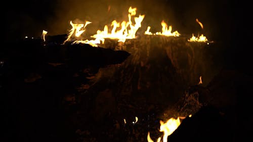 Burning Logs at Night