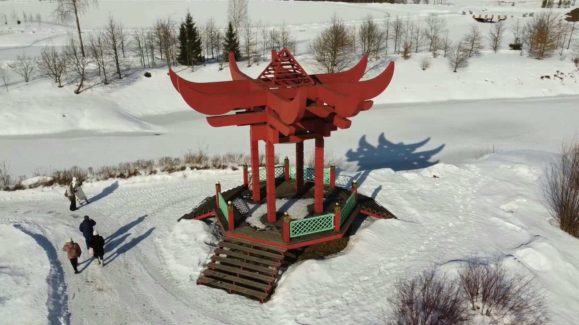 History Of Frozen Shoulder Icd 10 Videos, Download The BEST Free 4k