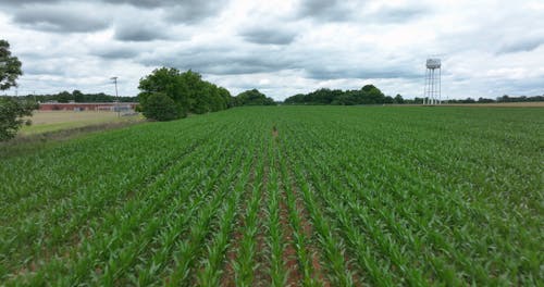 Drone Footage of a Farm Field under a Cloudy Sky