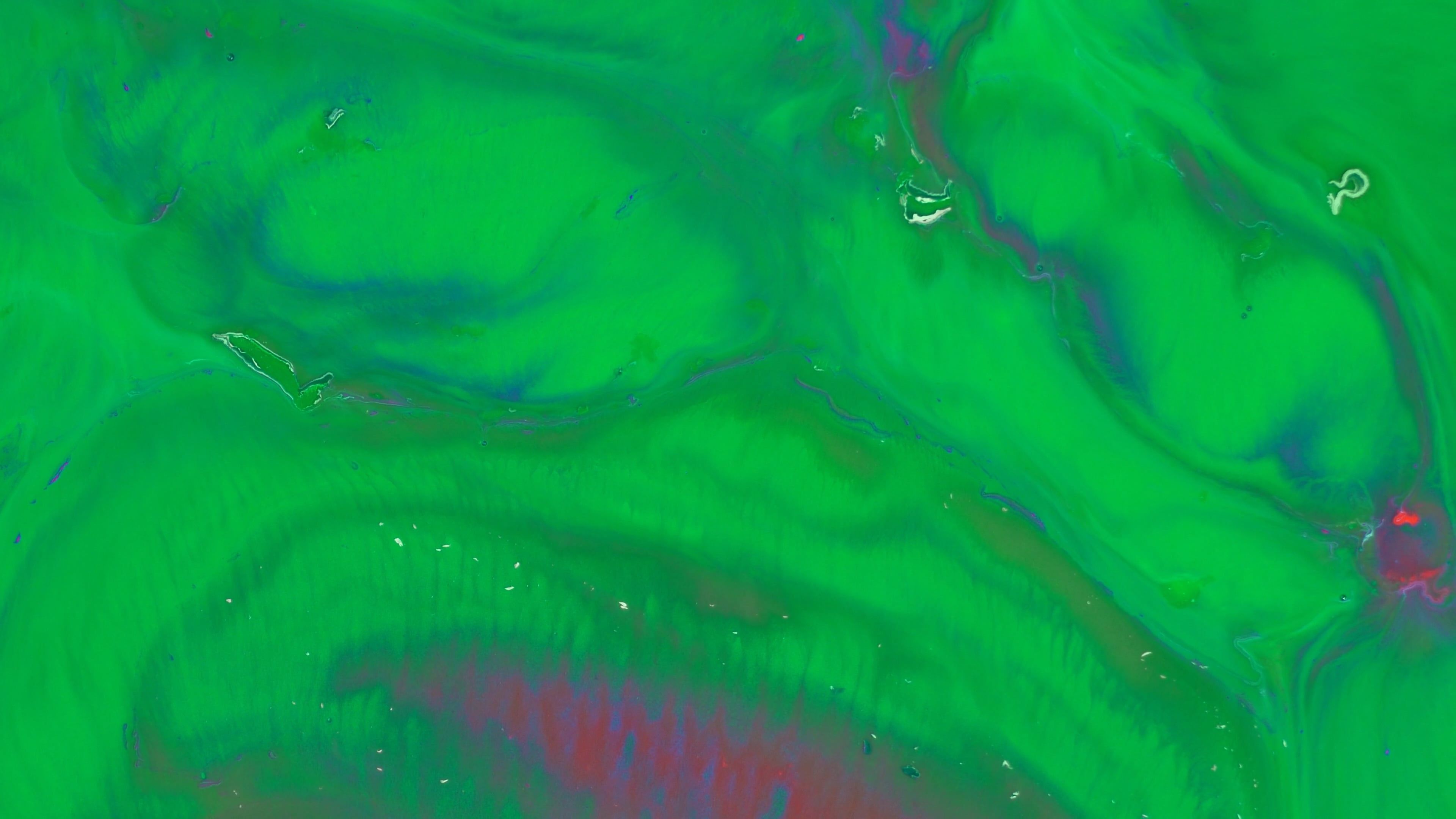Video by whiterecord