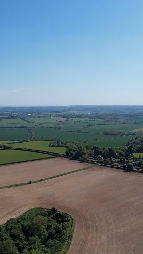 Clear Sky over Fields