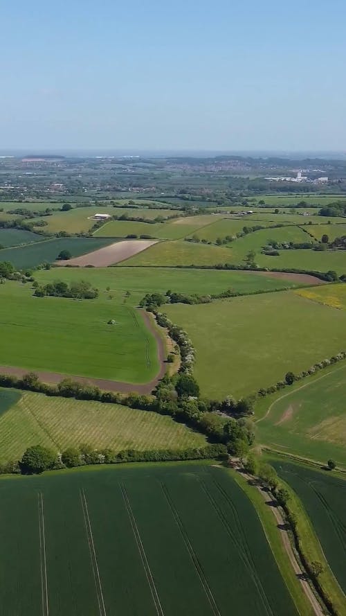 Fields on Plains